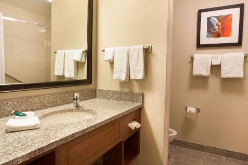 a bathroom with a sink and a mirror at Drury Inn & Suites Phoenix Tempe in Tempe