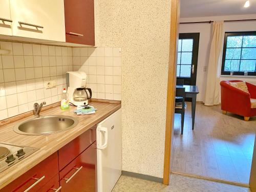 eine Küche mit einer Spüle und einer Arbeitsplatte in der Unterkunft Landpension Dubnitz - Ferienwohnung 1 in Sassnitz
