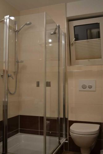 ニーンドルフにある_DKK1d_ Ferienwohnung Seemoeweのバスルーム(トイレ、ガラス張りのシャワー付)