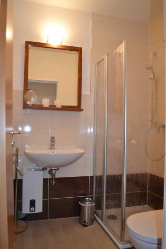 a bathroom with a sink and a shower and a mirror at _DKK9b_ Ferienwohnung Seestern in Niendorf