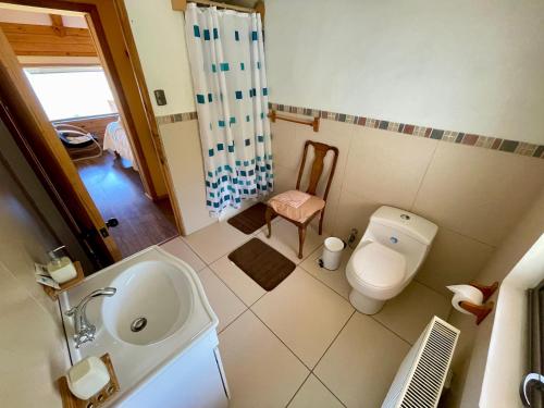 a small bathroom with a toilet and a sink at Cabañas Paraíso in Puerto Tranquilo