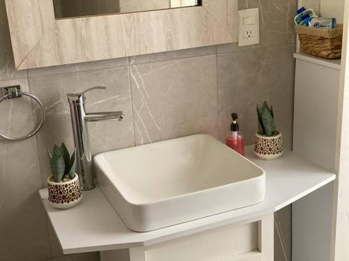 lavabo blanco en un baño con dos plantas en Departamento cerca de Mall y D1.Facturamos!, en Chihuahua