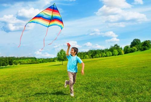 a young boy flying a kite in a field at Atsuka Villa Tagaytay in Calo