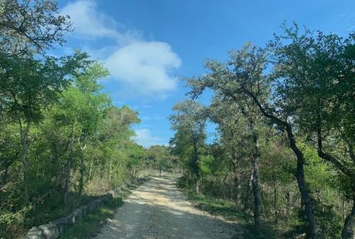 una strada sterrata con alberi su entrambi i lati di Mosaic On The Hill a San Marcos