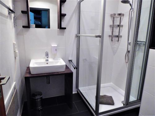 y baño con lavabo y ducha. en Cityloft Winterberg Ferienwohnung Pool Sauna bis 5 Pers Balkon near Lift, en Winterberg