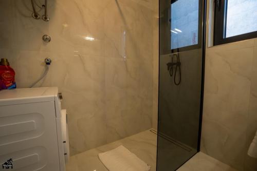 a shower with a glass door in a bathroom at Holiday house with a parking space Vir - 22303 in Vir