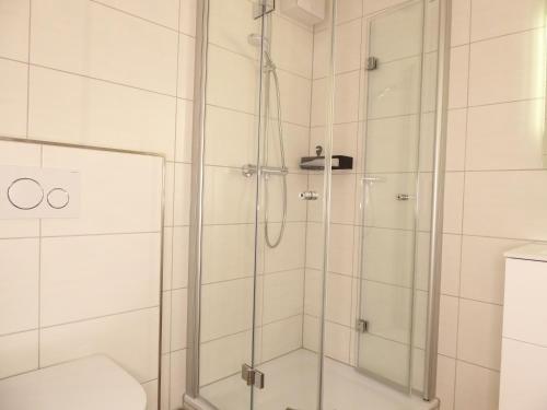 a bathroom with a shower with a toilet at Sunshine Winterberg Ferienwohnung Pool Sauna Terrasse Wifi in Winterberg