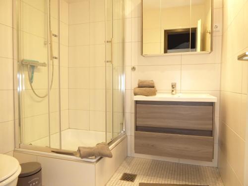 a bathroom with a shower and a sink and a toilet at Mountain Suite Winterberg Ferienwohnung Pool Sauna Hund 4 Pers Wifi near Ski Lift in Winterberg