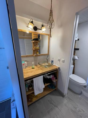 a bathroom with a sink and a toilet at Appart chambre et salon in Le Diamant