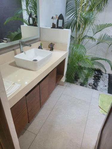 a bathroom with a sink and a potted plant at Casa Don Willo in Escuintla