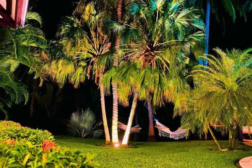 two palm trees with a hammock in a yard at Casa Don Willo in Escuintla
