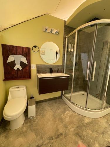 y baño con aseo, ducha y lavamanos. en LUXURY ECO, en Boquete