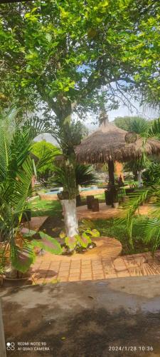 a large tree with a straw hut in a yard at Quinta Rosita in Ticul