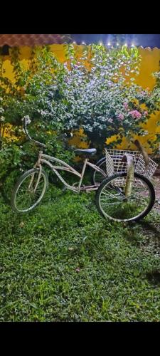 a bike parked in the grass in front of flowers at Quinta Rosita in Ticul