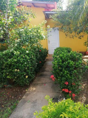 Jardín al aire libre en Urbano y Económico
