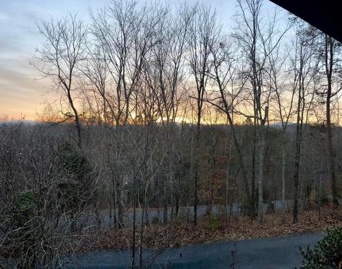 a view of a forest with trees and the sunset at Blue Beary Delight Newly renovated Near Everything in Sevierville