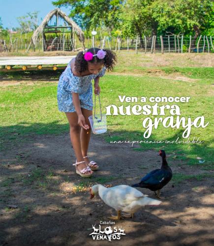 a young girl looking at two birds in a park at Cabañas Los Venaos in San Bernardo del Viento