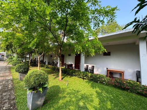 Hotel Sanhida Polonnaruwa في بولوناروا: بيت فيه ساحه فيها اشجار ونباتات