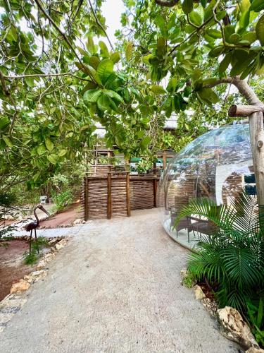 a large glass dome sitting under a tree at Rock and Sea Resort in Watamu