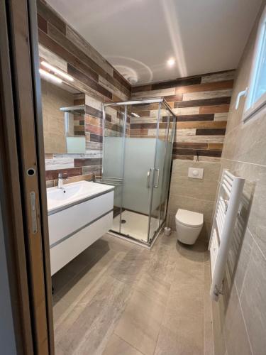 uma casa de banho com uma cabina de duche em vidro e um WC. em Villa pedicervu haut em Ventiseri