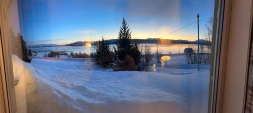 okno z widokiem na pokryty śniegiem dziedziniec w obiekcie Senja Peak Panorama w mieście Straumstad