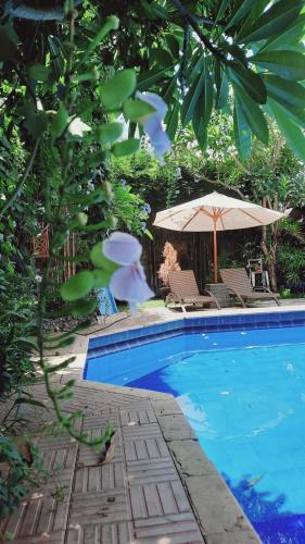 a swimming pool with two chairs and an umbrella at Villia magnolia sanur bali 巴厘島玉蘭別墅 in Denpasar