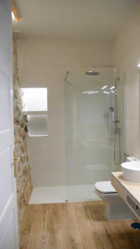 a bathroom with a shower and a toilet and a sink at Paz y Lavanda in Valdelaguna