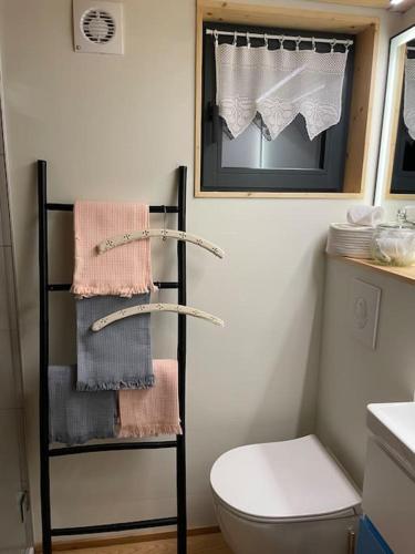 La salle de bains est pourvue de toilettes et d'une étagère avec des serviettes. dans l'établissement LA MAISON UGOLIN and INÈS, à Baccarat