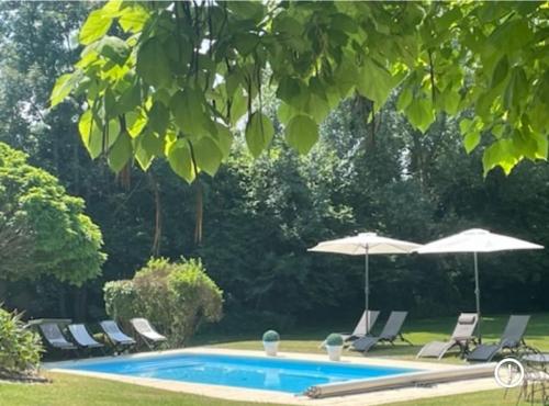 une piscine avec des chaises et des parasols à côté dans l'établissement LA MAISON UGOLIN and INÈS, à Baccarat