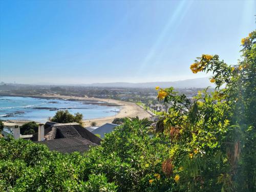 a view of a beach from a hill with trees at Loft Cottage, sleeps 2. Central and Cozy! in Cape Town
