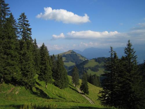 a green hillside with trees and a mountain at Rigiana auf der Königin der Berge in Rigi Kaltbad
