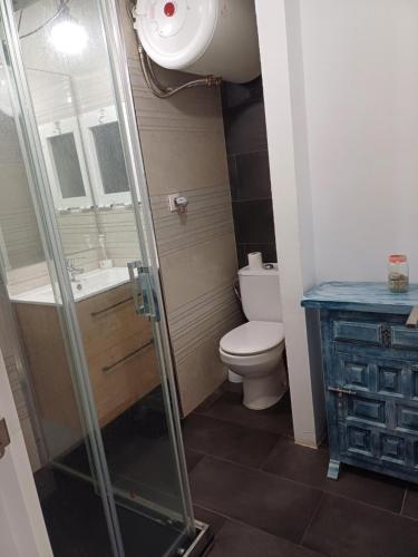 een badkamer met een douche, een toilet en een wastafel bij REX CUATRO in Benidorm