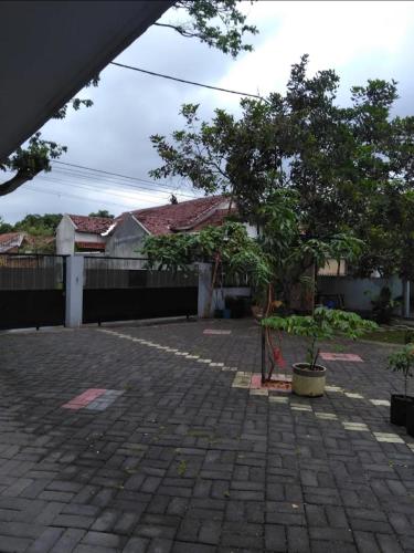 a courtyard with a tree and a building at Umah isun guests house in Banyuwangi