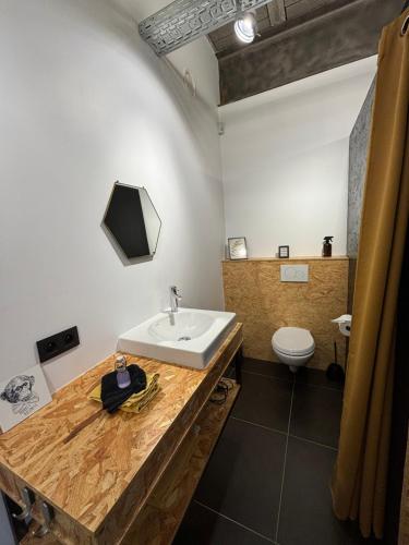a bathroom with a sink and a toilet at La Maraudeuse in Theux