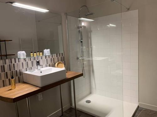 une salle de bain avec un lavabo blanc et une douche dans l'établissement Gite MCM, à Chalais