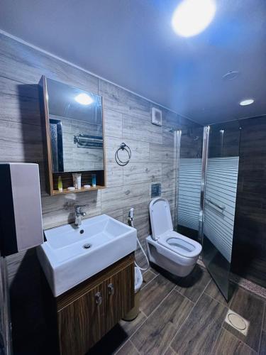 a bathroom with a sink and a toilet and a shower at Wadi Rum Desert Tours and Glamping with Hussein in Wadi Rum