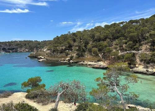 Elle offre une vue sur une rivière d'eau turquoise. dans l'établissement Velero Beneteau Cyclades 43.4, à Palma de Majorque