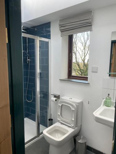 a bathroom with a toilet and a shower and a window at Tresahor Studio in Falmouth