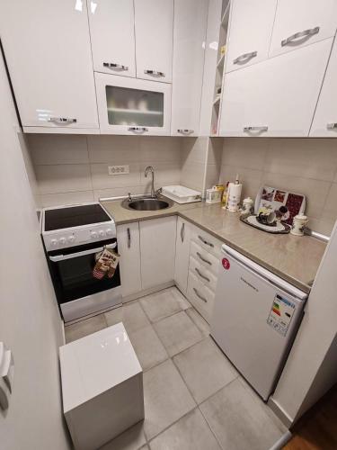 a small kitchen with white cabinets and a sink at Apartman Terzić in Palisad