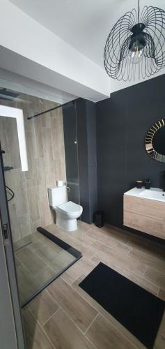 een badkamer met een toilet, een douche en een wastafel bij Casa imperial in Popeşti-Leordeni