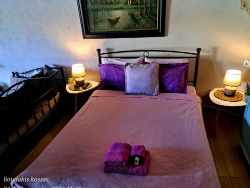a bedroom with a bed with purple sheets and two lamps at Zoe garden home in Spáta