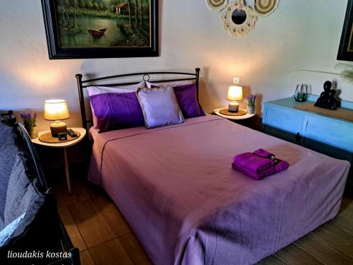 a bedroom with a bed with purple sheets and two lamps at Zoe garden home in Spáta