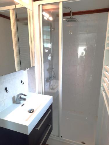 a bathroom with a sink and a shower with a mirror at Pinkie's in Buren