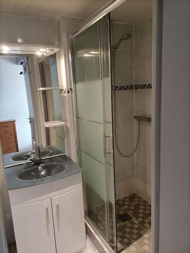 une salle de bain avec une douche et un lavabo et une douche dans l'établissement Appartement Marseillan Plage à 300m de la plage dans résidence avec piscine et tennis *, à Le Castellas
