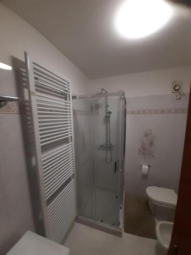 een badkamer met een douche en een toilet bij APPARTAMENTO MIRTA in Molina di Ledro