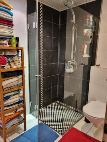 a shower with a glass door in a bathroom at Regio Basiliensis in Grenzach-Wyhlen