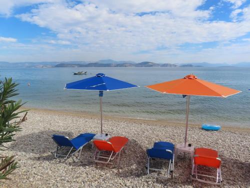 Φυσικό τοπίο κοντά σε αυτό το διαμέρισμα