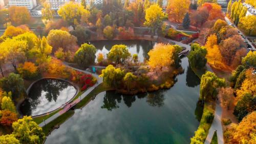 an aerial view of a park with trees in autumn at WORKATION, CENTRE, 4-5 Persons 3-4 nights best offer, Nature Park Metro 1min , 15 min Palac Kultury, Balcony, Quiet, Easy parking chroniony in Warsaw