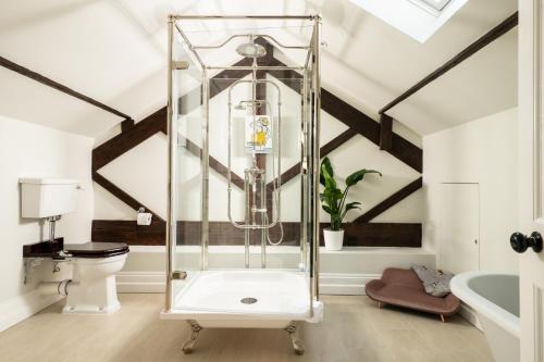 een badkamer met een douche en een toilet bij Plas Llangoedmor in Cardigan