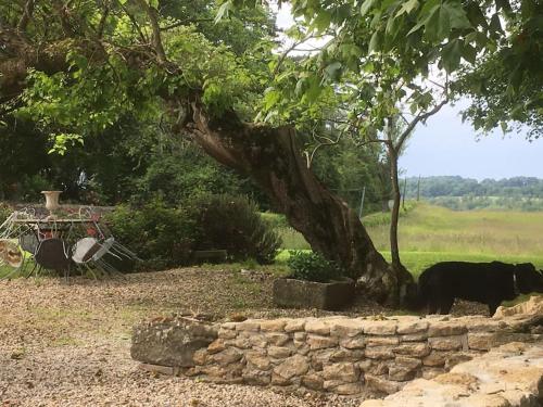 una vaca parada bajo un árbol junto a una pared de piedra en Le petit duc en Gans